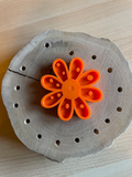 Insekten Tränke Blume