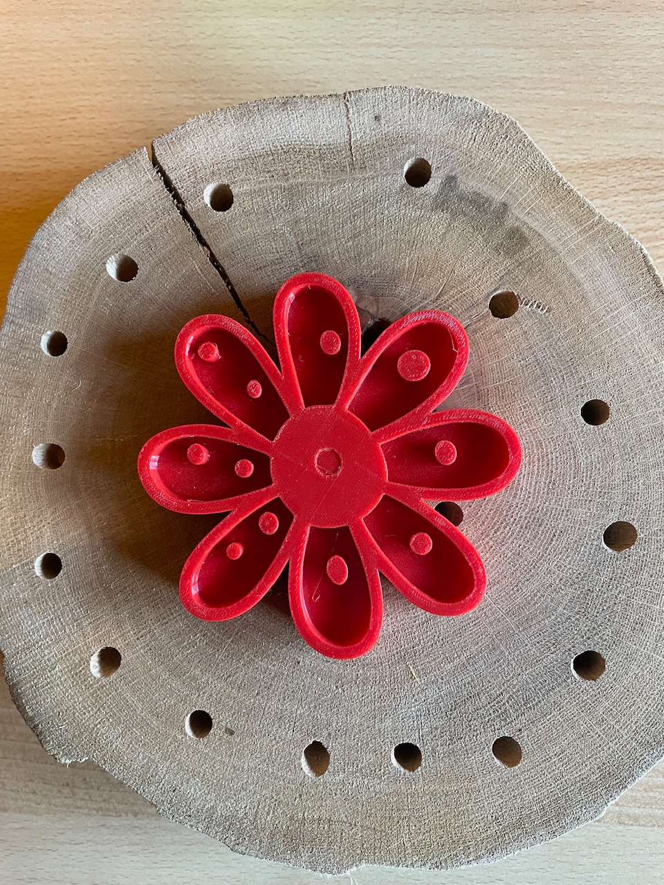 Insekten Tränke Blume