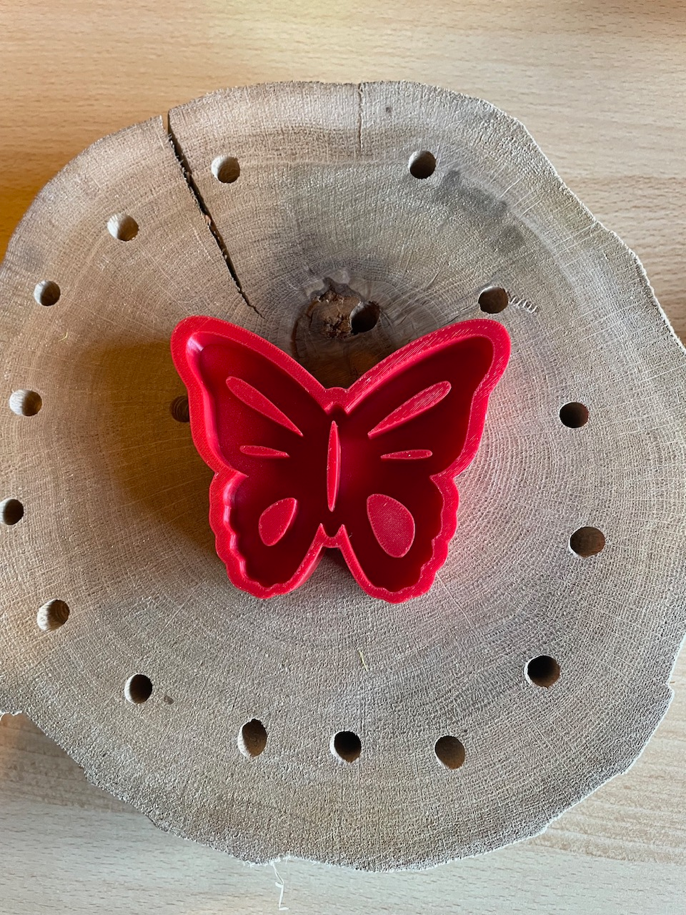 Insekten Tränke Schmetterling