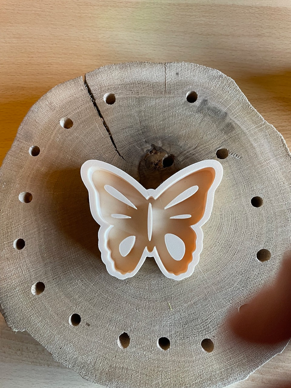 Insekten Tränke Schmetterling
