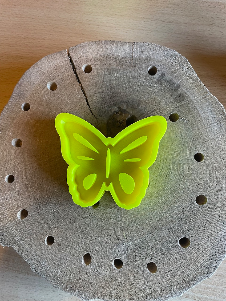 Insekten Tränke Schmetterling