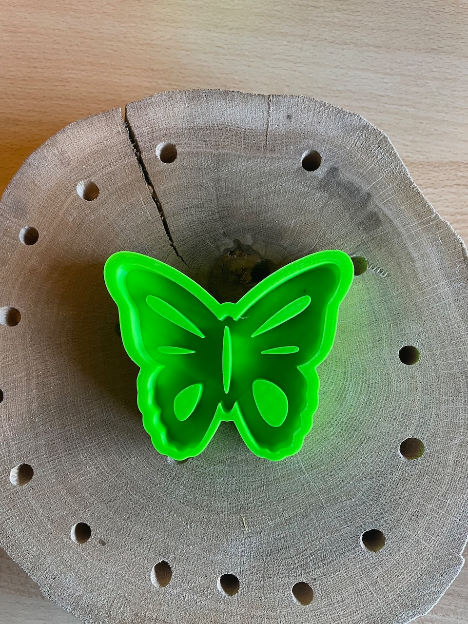 Insekten Tränke Schmetterling